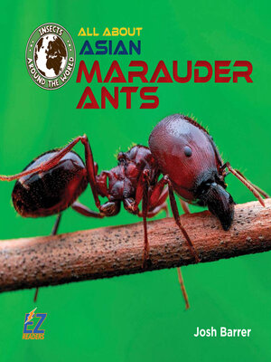 cover image of All About Asian Marauder Ants
